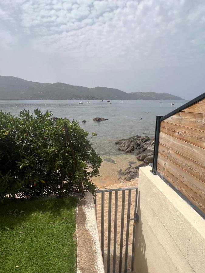 Appartement 2-4 Pers, Acces Direct Mer Casaglione Exteriör bild